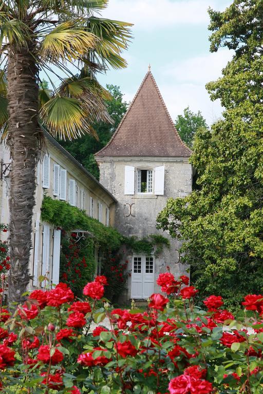 Bed and Breakfast Chateau De Puyrigaud Leoville Экстерьер фото