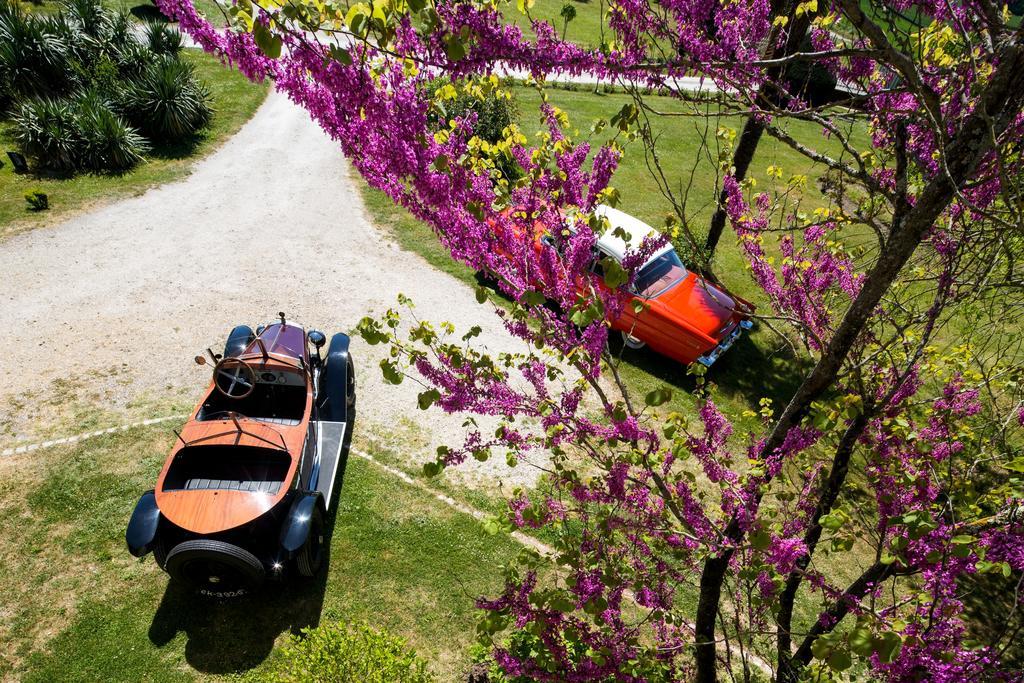 Bed and Breakfast Chateau De Puyrigaud Leoville Экстерьер фото